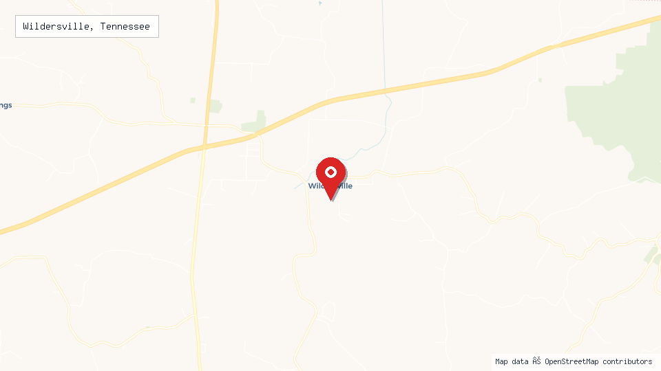 Street map of Wildersville, Tennessee with location pin