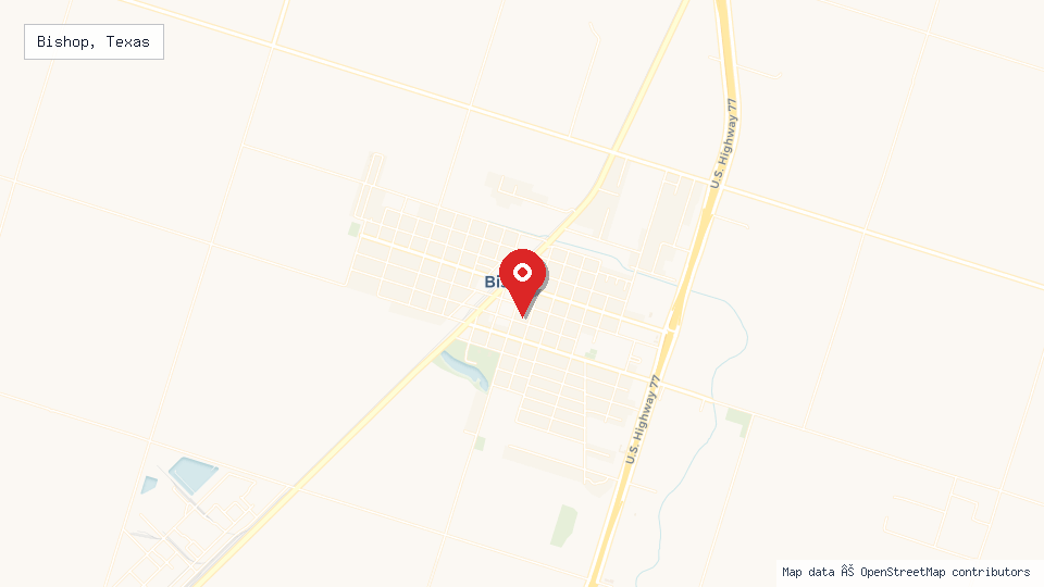 Street map of Bishop, Texas with location pin