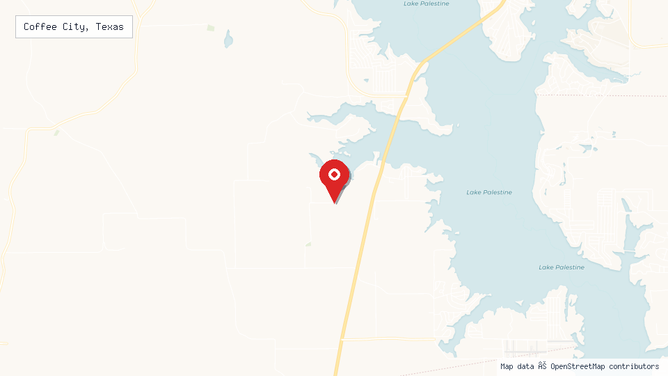 Street map of Coffee City, Texas with location pin