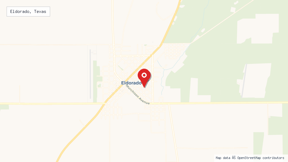 Street map of Eldorado, Texas with location pin