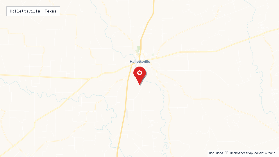 Street map of Hallettsville, Texas with location pin