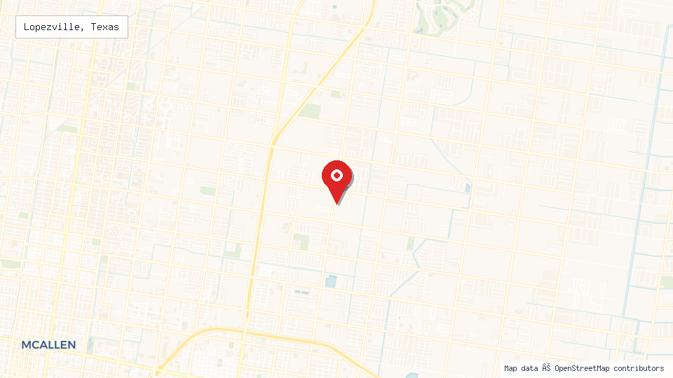 Street map of Lopezville, Texas with location pin