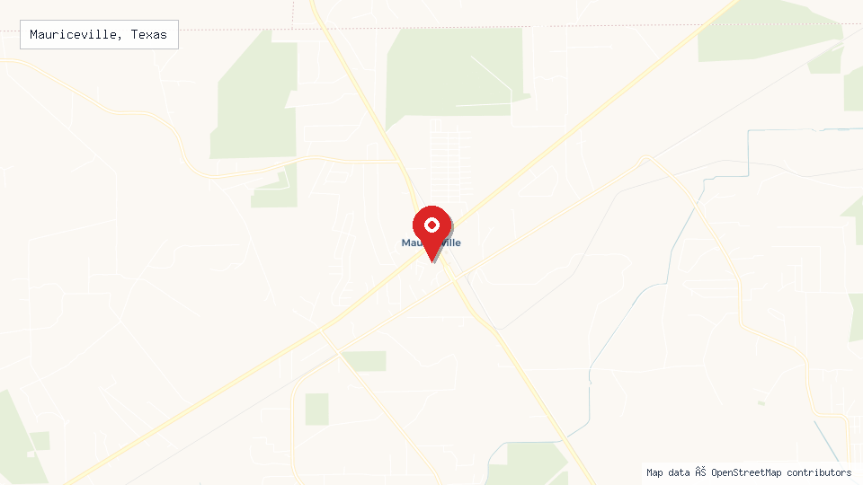 Street map of Mauriceville, Texas with location pin