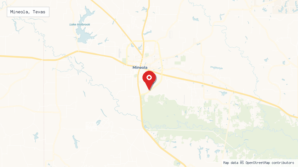 Street map of Mineola, Texas with location pin