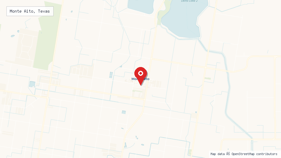 Street map of Monte Alto, Texas with location pin