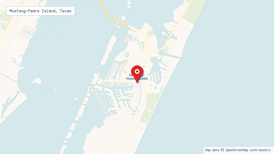 Street map of Mustang-Padre Island, Texas with location pin