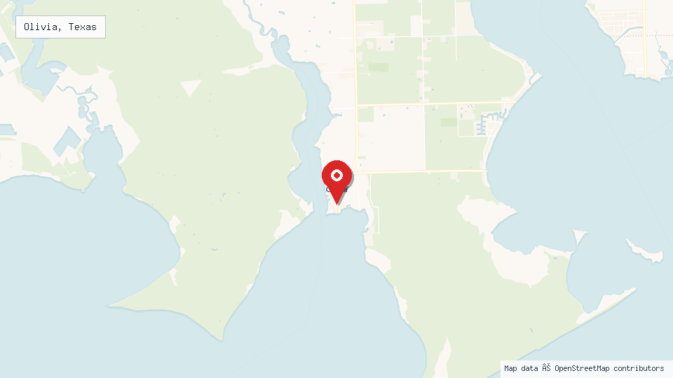 Street map of Olivia, Texas with location pin