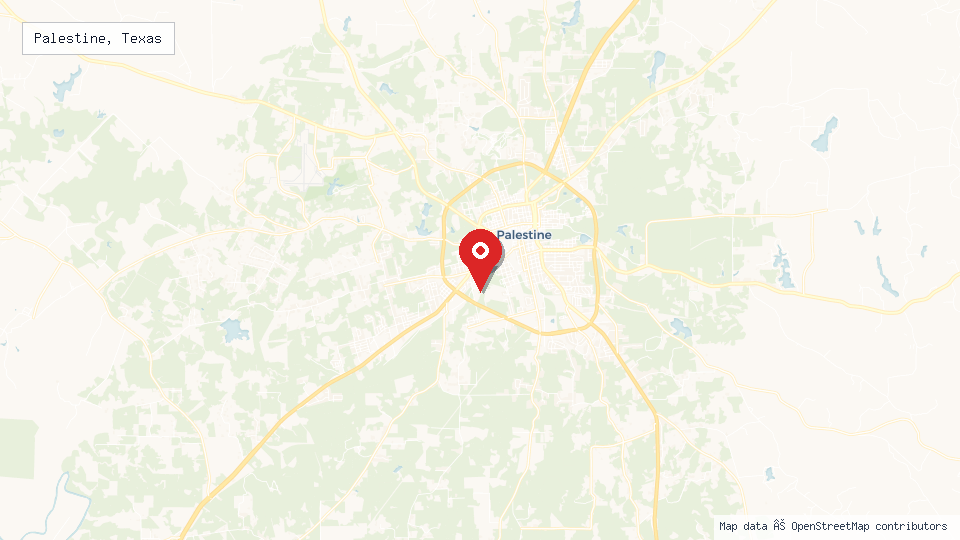 Street map of Palestine, Texas with location pin