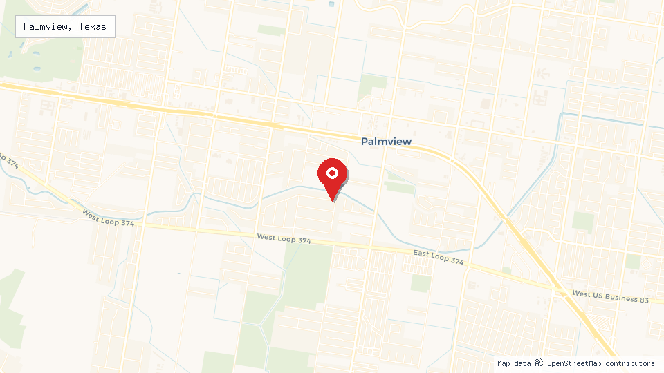 Street map of Palmview, Texas with location pin