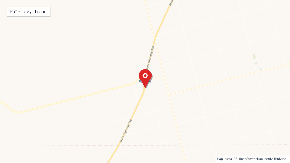Street map of Patricia, Texas with location pin