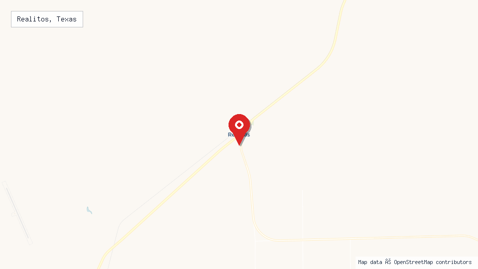 Street map of Realitos, Texas with location pin