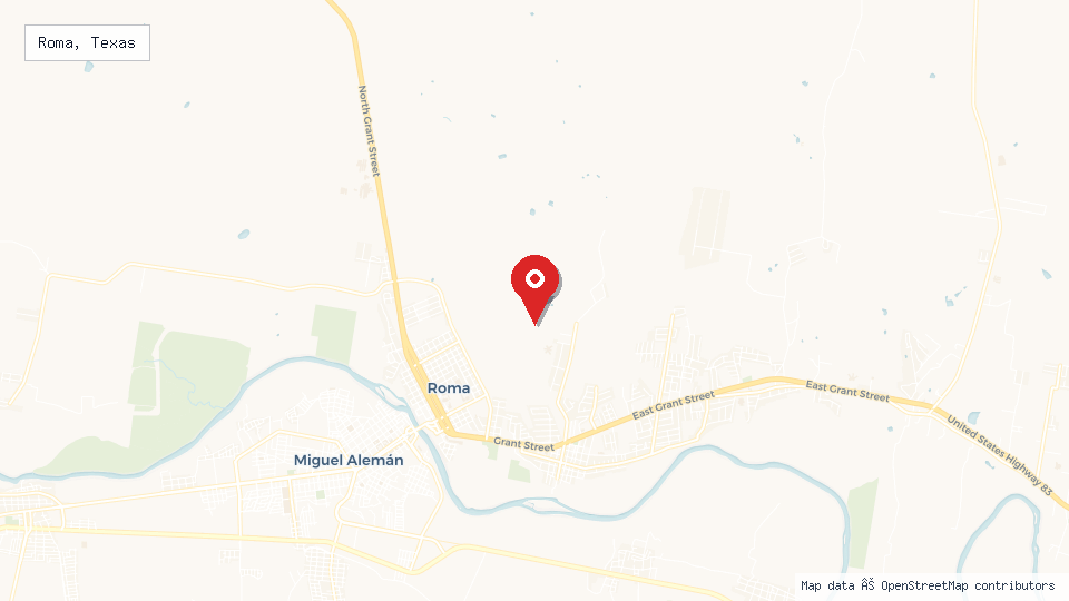 Street map of Roma, Texas with location pin