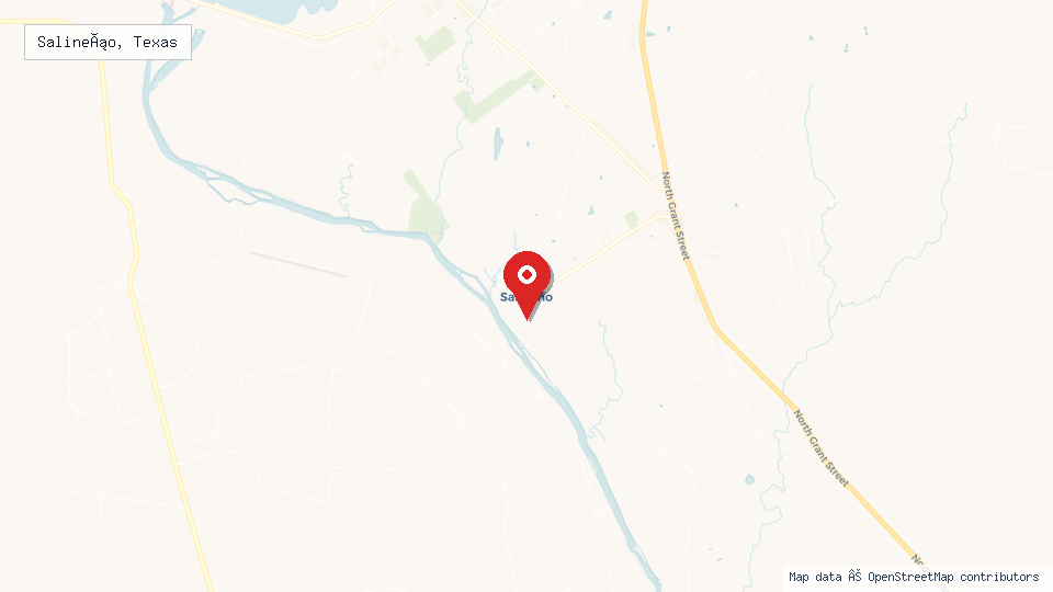 Street map of Salineño, Texas with location pin
