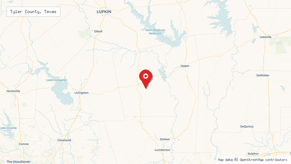 Street map of Tyler County, Texas with location pin