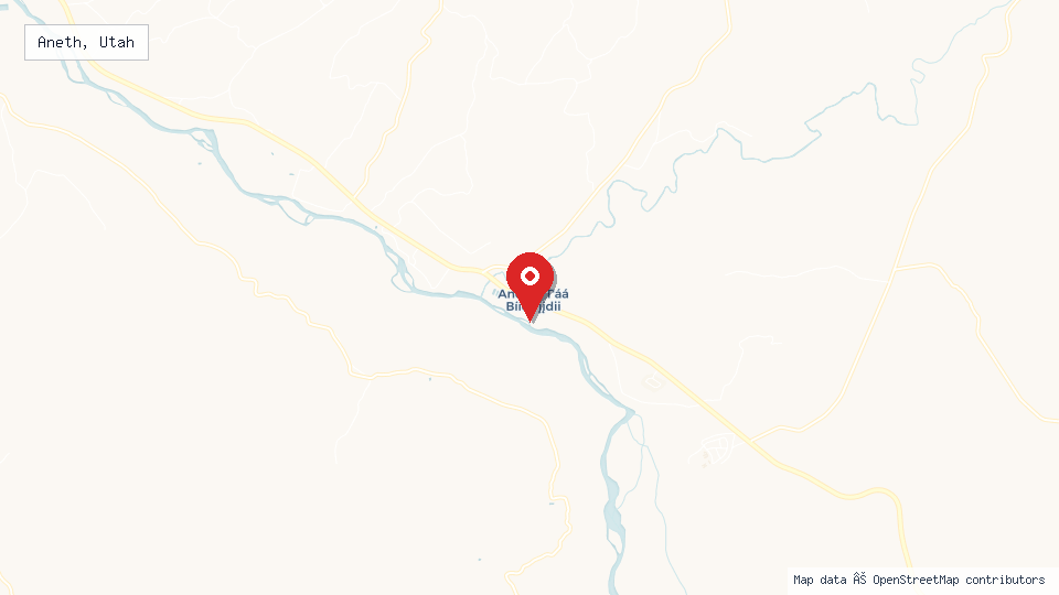 Street map of Aneth, Utah with location pin