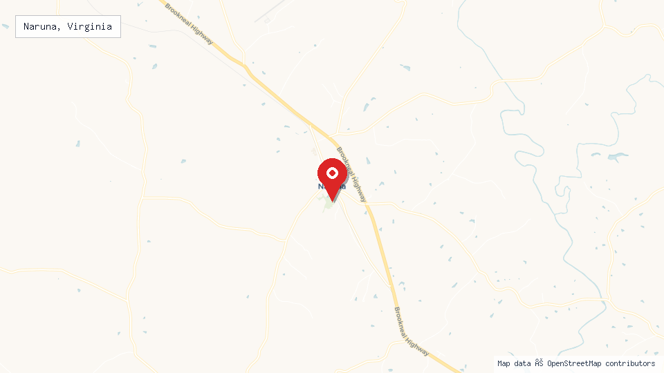 Street map of Naruna, Virginia with location pin