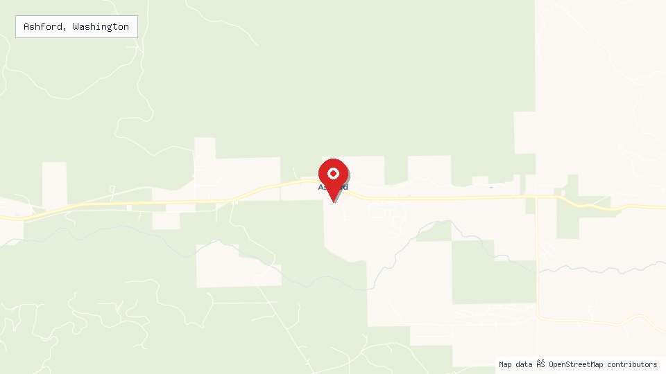 Street map of Ashford, Washington with location pin
