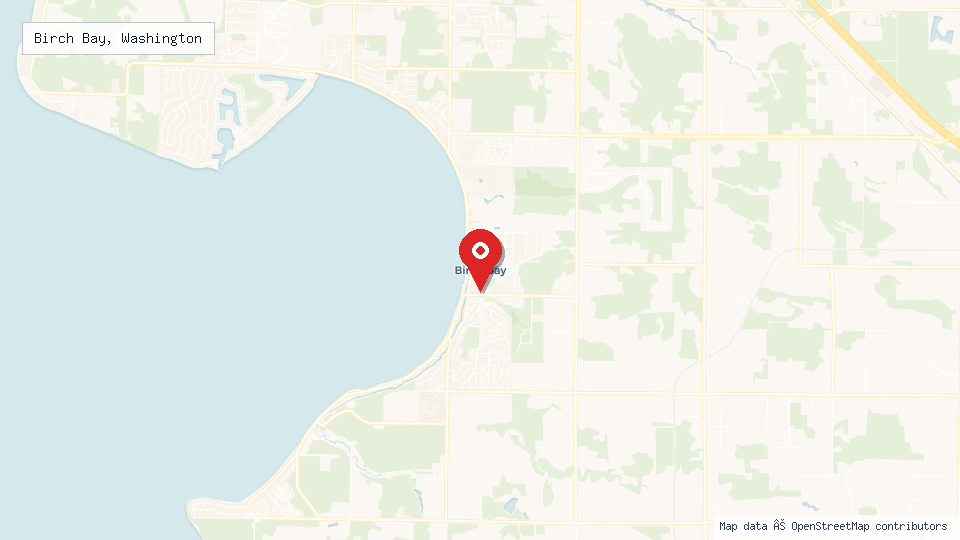 Street map of Birch Bay, Washington with location pin