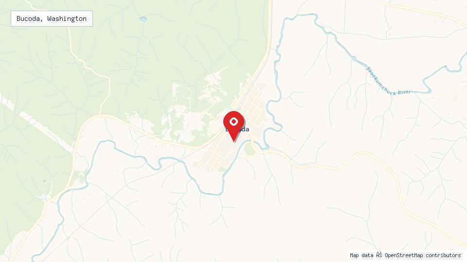 Street map of Bucoda, Washington with location pin