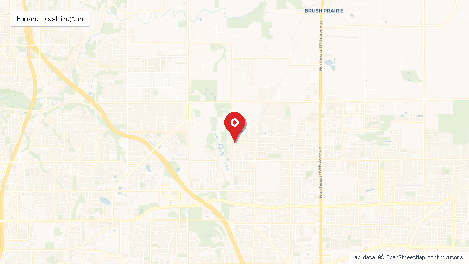 Street map of Homan, Washington with location pin
