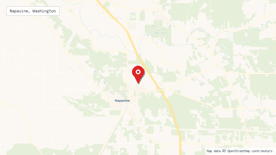 Street map of Napavine, Washington with location pin