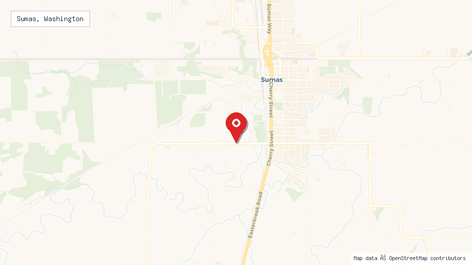 Street map of Sumas, Washington with location pin
