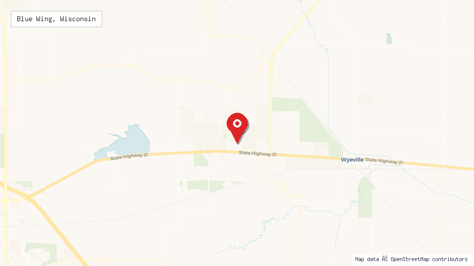 Street map of Blue Wing, Wisconsin with location pin