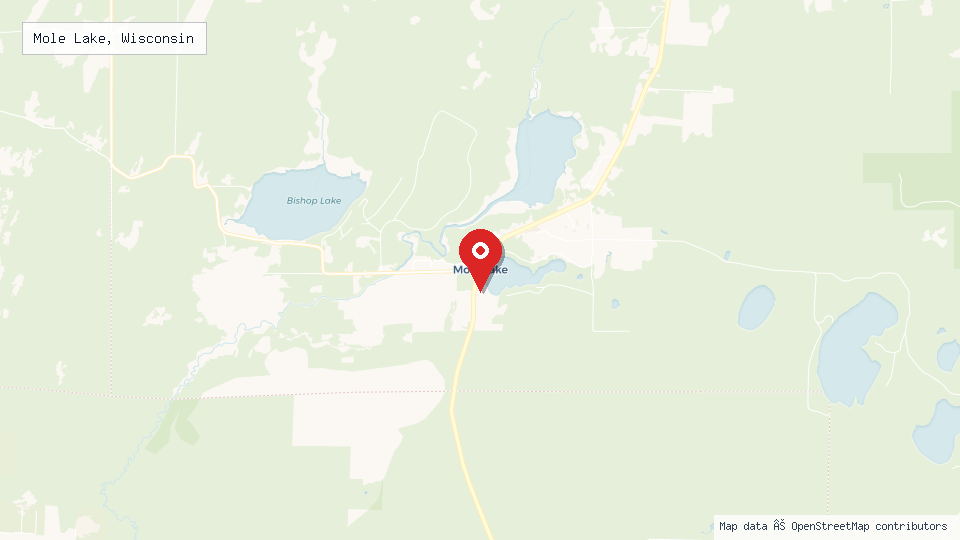 Street map of Mole Lake, Wisconsin with location pin